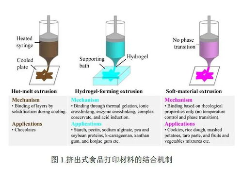 李斌教授团队 开拓植物性材料在3D食品打印技术中的创新应用