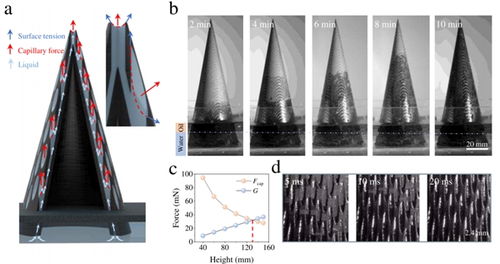 微纳3D打印驱动新能源发展 从基础微结构到应用体系的跨越